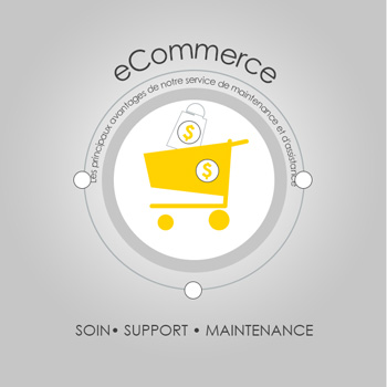 eCommerce website care and support